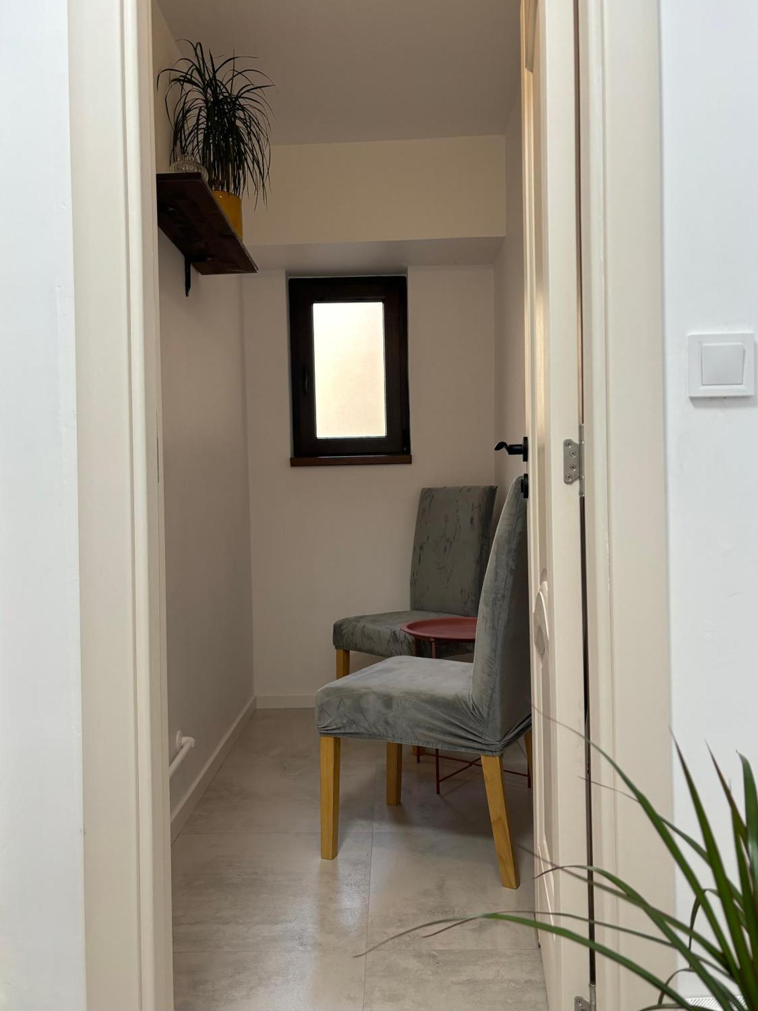 פיאטרה ניאמט Apartament Luna מראה חיצוני תמונה